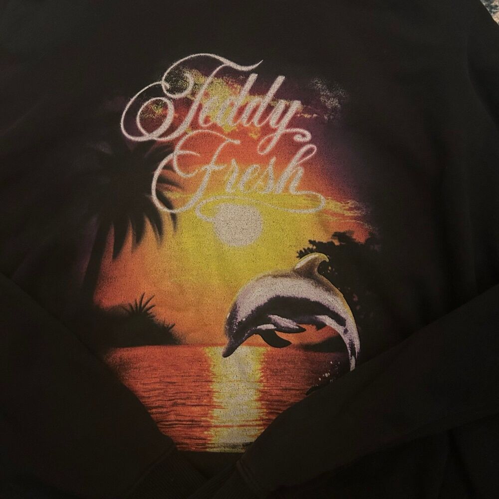 Teddy Fresh Teddy Fresh Dolphin Sunset Hoodie Black Graphic Hoodie Size M